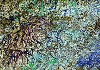 N 203E